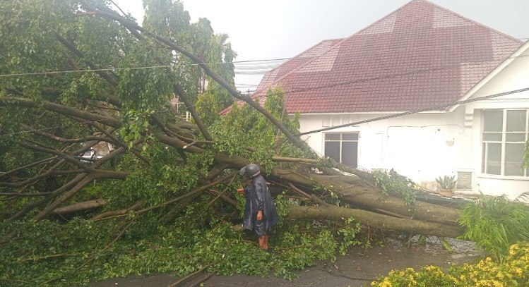 6 Bulan Terakhir, 61 Peristiwa Bencana di Siantar, Angin Kencang Mendominasi