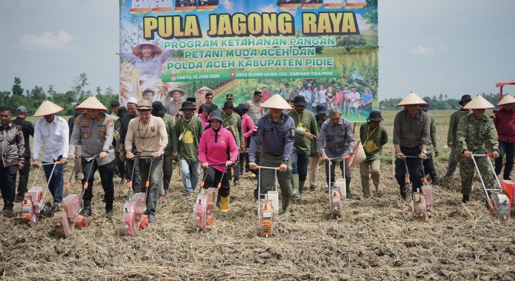 Wakapolda Aceh Bersama Petani Milenial Tanam Jagung di Pidie