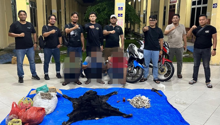 Polres Simalungun Gagalkan Perdagangan 30 Kg Sisik Trenggiling