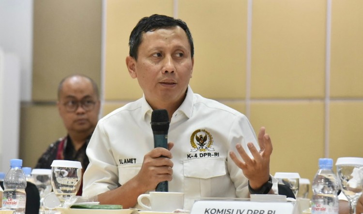 Komisi IV DPR Dorong Sosialisasi Diversifikasi Pangan dan Evaluasi Peran Bulog