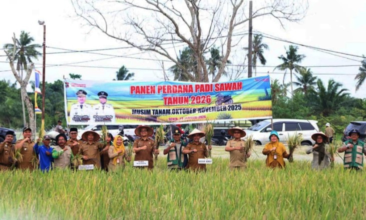 Lahan Sawah Perkotaan di Tanjungbalai Masih Produktif