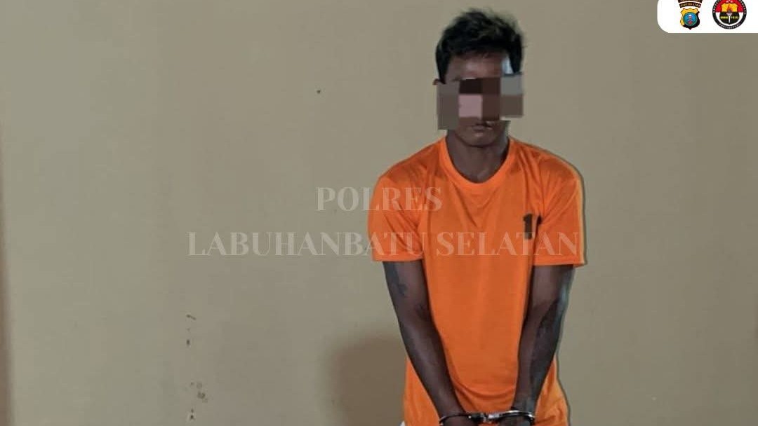 Gasak Puluhan Tandan Sawit, Pemuda 27 Tahun Diciduk Polsek Kampung Rakyat