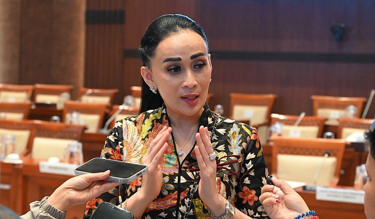 TNI ke Gaza, DPR Tegaskan: Misi Damai, Bukan Perang