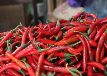 Harga Cabai Meroket Jadi Sorotan DPR RI, Pemerintah Diminta Kuasai Stok