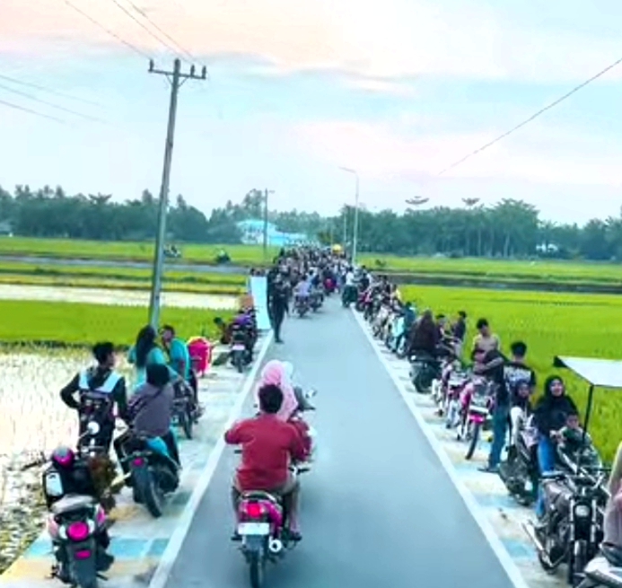 Hamparan Sawah di Batu Bara Jadi Magnet untuk Wisata