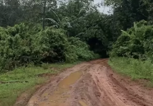 Viral Jalan Rusak Puluhan Tahun di Way Kanan, Warga Lampung Mengeluh Tak Kunjung Diperbaiki