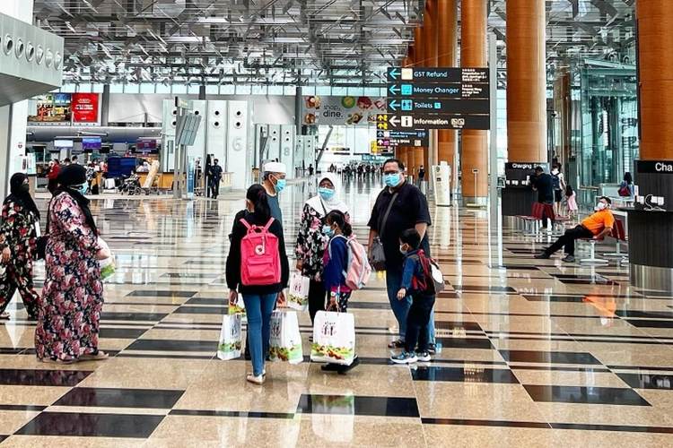 Singapura Longgarkan Langkah Pencegahan Virus Nipah Mulai 23 Februari 2026