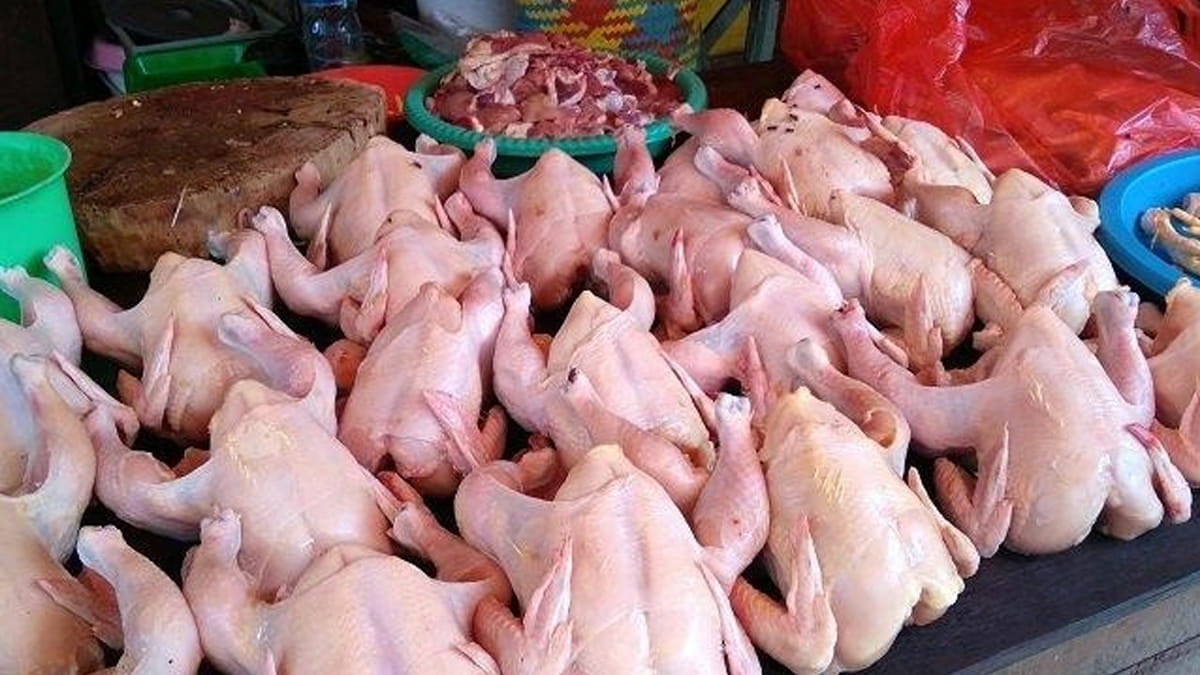 Harga Ayam di Sumut Meroket Jelang Ramadan