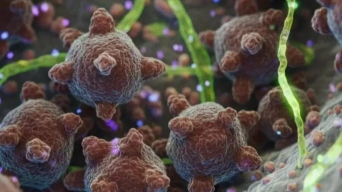 Polri Tingkatkan Kesiapsiagaan Cegah Ancaman Virus Nipah di Indonesia
