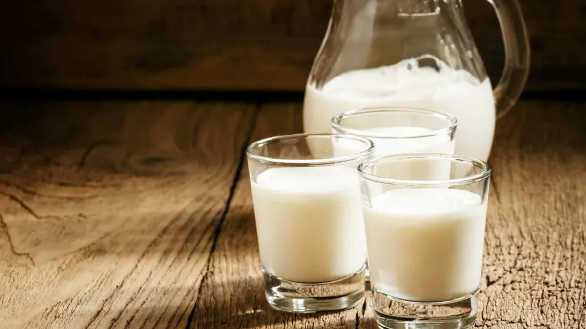 Minum Susu Bisa Picu Asam Lambung? Ini Fakta Medis yang Perlu Diketahui