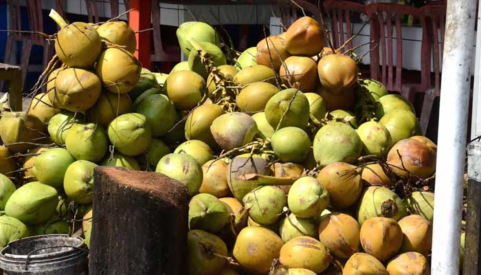 Sajikan Kelapa Utuh, 9 Dapur SPPG di Gresik Ditutup