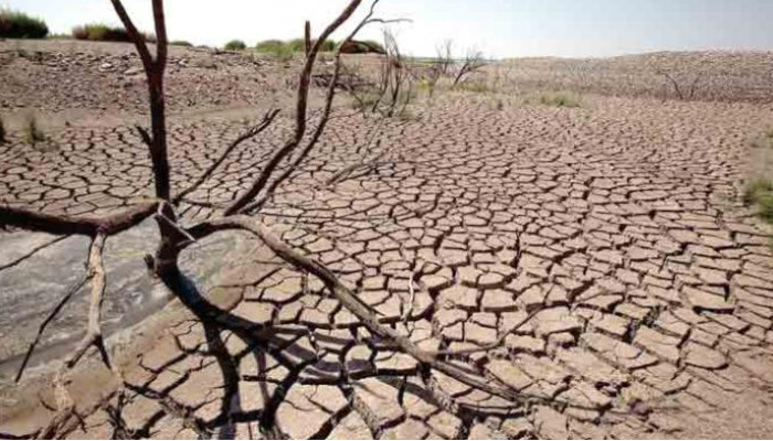Fenomena El Nino 2026 Berpotensi Picu Kemarau Ekstrem