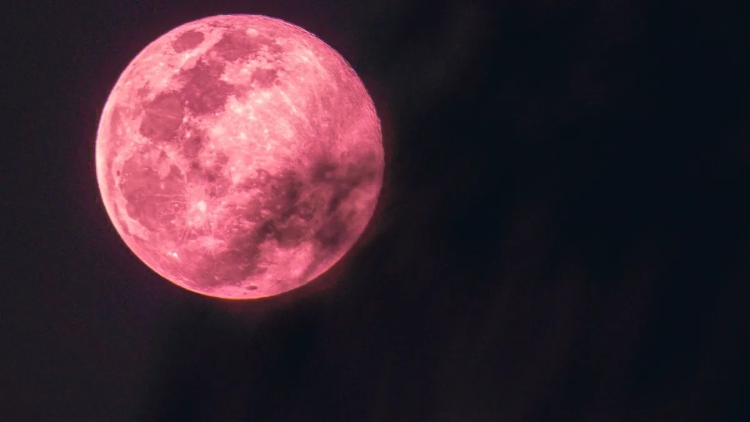 Fenomena Pink Moon 1–2 April 2026: Benarkah Bulan Berwarna Pink? Ini Penjelasannya