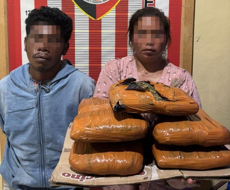 Polsek Barus Gagalkan Peredaran 5 Kg Ganja Asal Madina, Sepasang Kurir Ditangkap