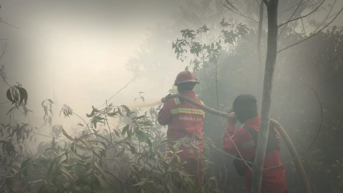 Karhutla Kembali Berkobar di Riau, Tim Gabungan Turun Tangan Padamkan Api
