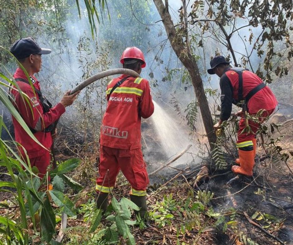 BNPB: Banjir dan Angin Kencang Dominasi Bencana, Karhutla Riau Meluas