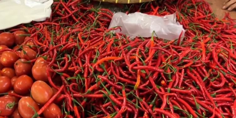 Harga Cabai Turun di Siantar, Warga Senang Tapi Petani Mengeluh