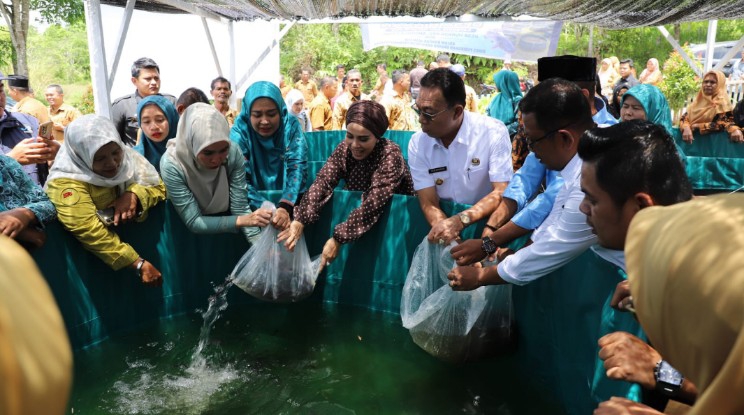 Bupati Tapsel Jadikan Kolam Lele PKK Huraba sebagai Penyangga Pangan