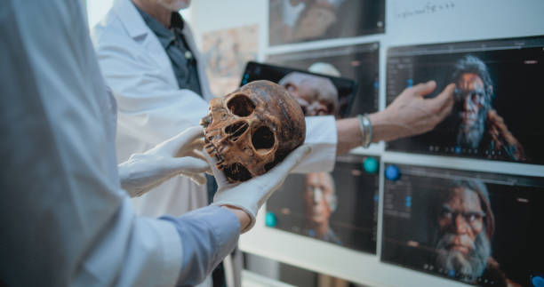 Neanderthal Diduga Tidak Punah, Ilmuwan Sebut Berbaur dengan Homo Sapiens