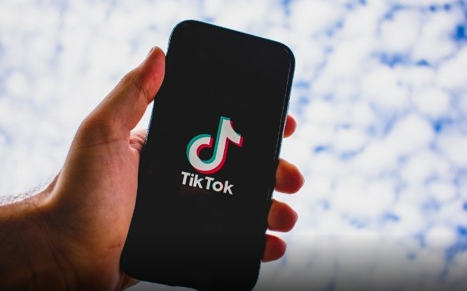 Cara Download Video TikTok Tanpa Watermark Pakai SnapTik Gratis dan Mudah