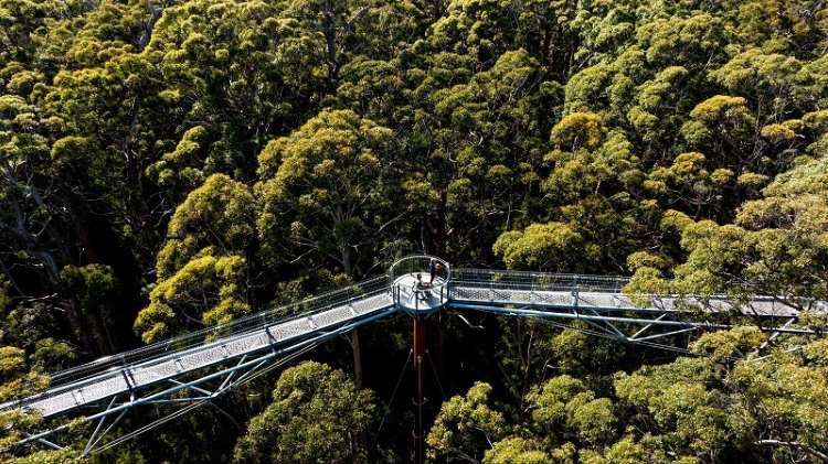 Liburan 2026 Makin Seru! South West Australia Tawarkan Alam, Kuliner, dan Satwa Liar