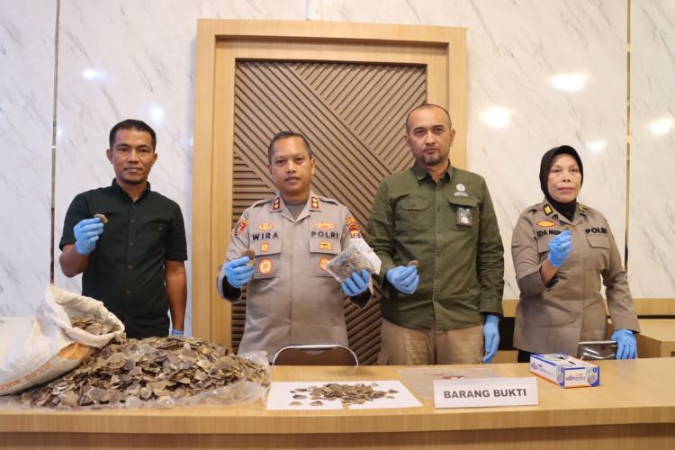Jual Sisik Trenggiling, Seorang Petani Ditangkap Polisi di Padangsidimpuan