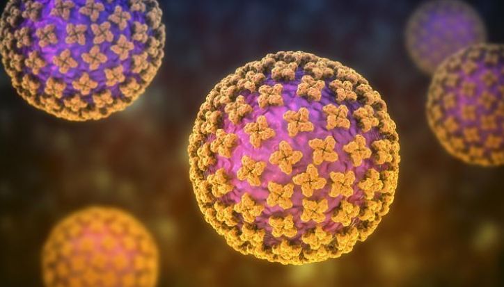 Waspada! 3 Positif dan 6 Suspek Hantavirus di Jakarta