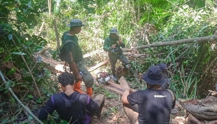 Dua Pembalak Liar di TWA Mangolo Jadi Tersangka, Ancaman 15 Tahun Penjara
