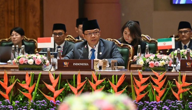 Indonesia Tekankan Peran BRICS dalam Tatanan Global