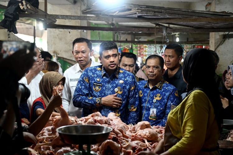 Stok Minyakita di Sumut Aman dan Harga Stabil, Pemprov Pastikan Distribusi Lancar