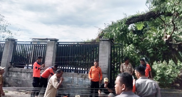 Hujan Deras dan Angin Kencang di Siantar, Pohon Tumbang, Kantor Lurah dan Pagar Kuburan Rusak