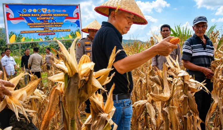 Wabup Tapsel Tegaskan Ketahanan Pangan Bukan Sekadar Agenda Seremonial