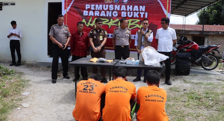 Polres Dairi Musnahkan Barang Bukti Ganja, Wakapolres Tegaskan Perangi Narkoba