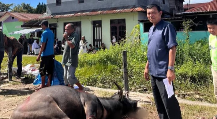 RM Gumarang Tarutung Serahkan Hewan Kurban untuk Idul Adha 1447 H