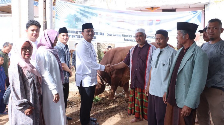 Wabup Dairi Serahkan Sapi Kurban Bantuan Presiden di Gunung Sitember
