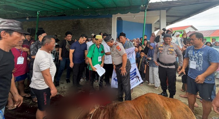 Kapolres Nias Selatan Serahkan 8 Hewan Kurban untuk Masjid dan Ponpes