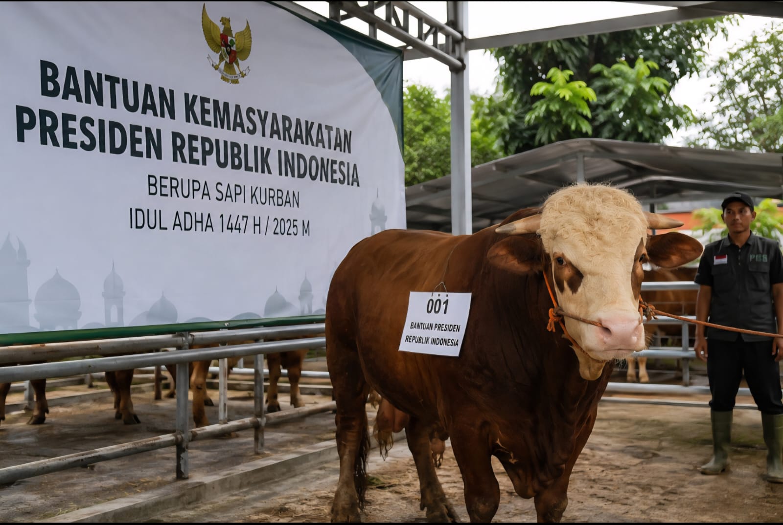 Polemik Kurban Presiden Gunakan APBN Jadi Sorotan Publik