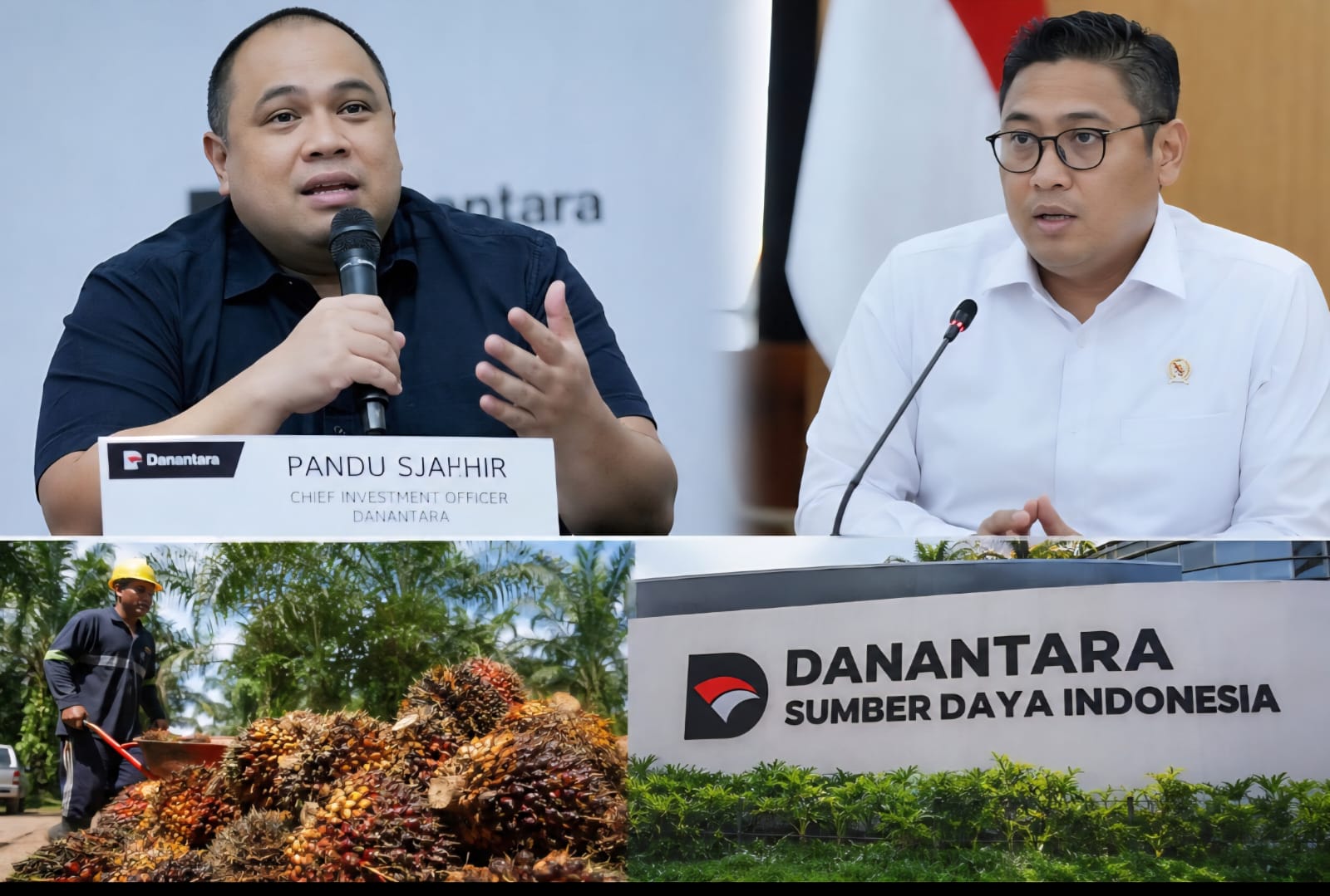 Danantara Tegaskan Orientasi Bisnis Ekspor CPO, Pemerintah Klaim Ekonomi Mulai Menguat
