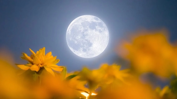 Fenomena Astronomi Mei 2026: Flower Moon, Hujan Meteor, hingga Blue Moon