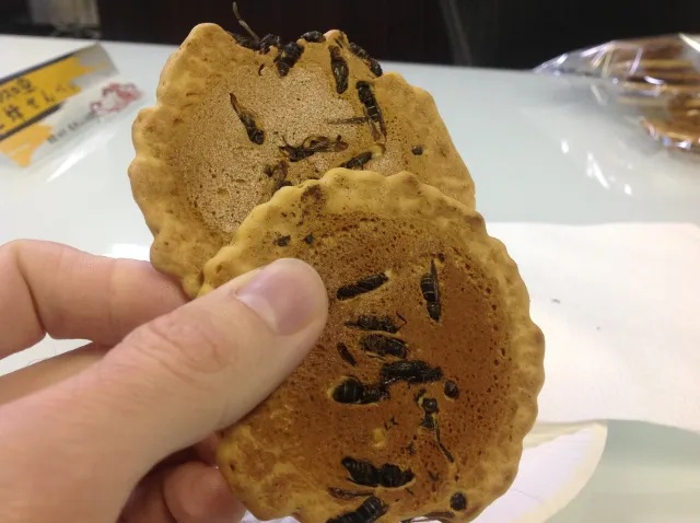 Jibachi Senbei, Kerupuk Tawon Khas Jepang yang Viral dan Unik