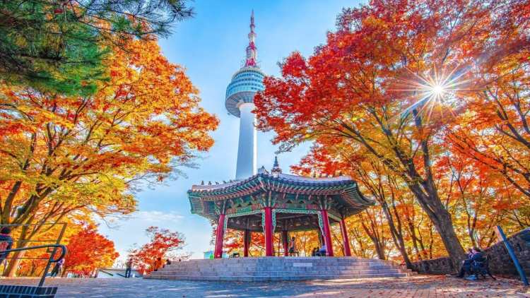 Musim Semi Jadi Favorit Wisatawan Indonesia ke Korea Selatan, Ini Destinasi Populernya