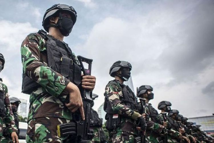 Menhan Sjafrie Ungkap TNI Terlibat Swasembada Pangan, AD Urus Padi dan Jagung