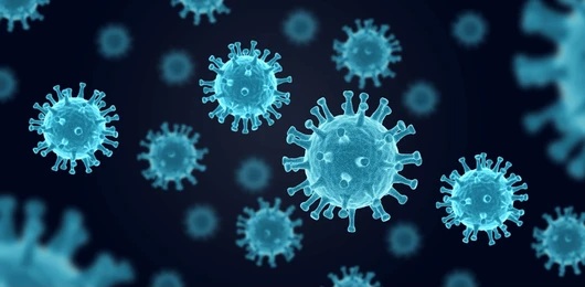 Wabah Hantavirus di Kapal MV Hondius, Spanyol Siap Terima Evakuasi di Canary