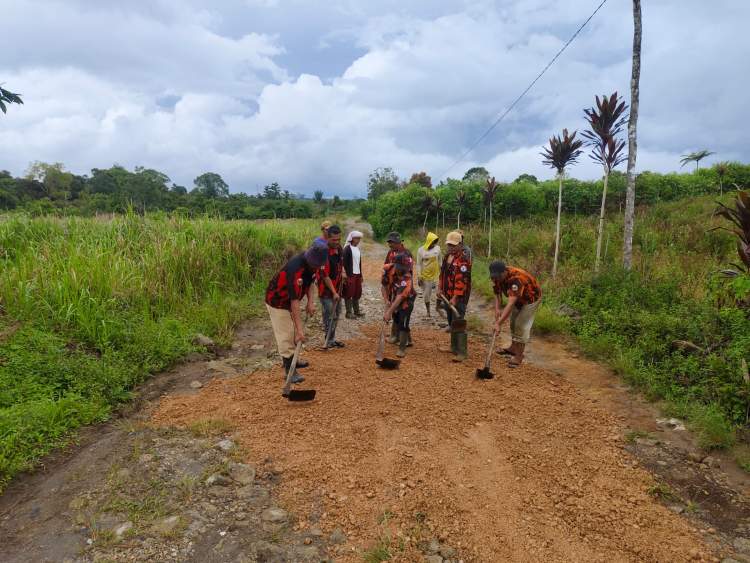PAC PP Sumbul Gotong Royong Timbun Jalan Rusak Demi Petani Dairi