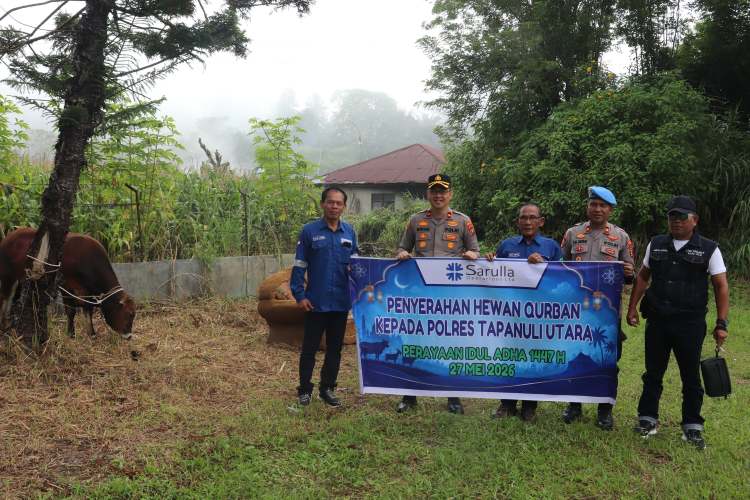 Sambut Idul Adha 1447 H, SOL Bagikan Lima Sapi Kurban untuk Masyarakat Taput
