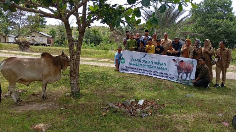 Momen Haru di Dayah Wakaf Barbate Saat Terima Bantuan Sapi Kurban dari Kalbe Farma