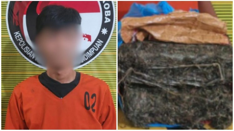 Ucok Diringkus Polres Sidimpuan di Depan Pasar Buah, Ganja 1,951 Kg Disita