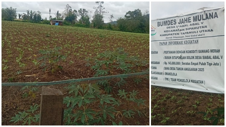 Warga Soroti Pengelolaan Dana BUMDes Jahe Mulana Rp143 Juta di Taput