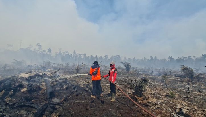 Karhutla Mengganas di Sumatra, Riau Catat 15 Ribu Hektare Lahan Terbakar
