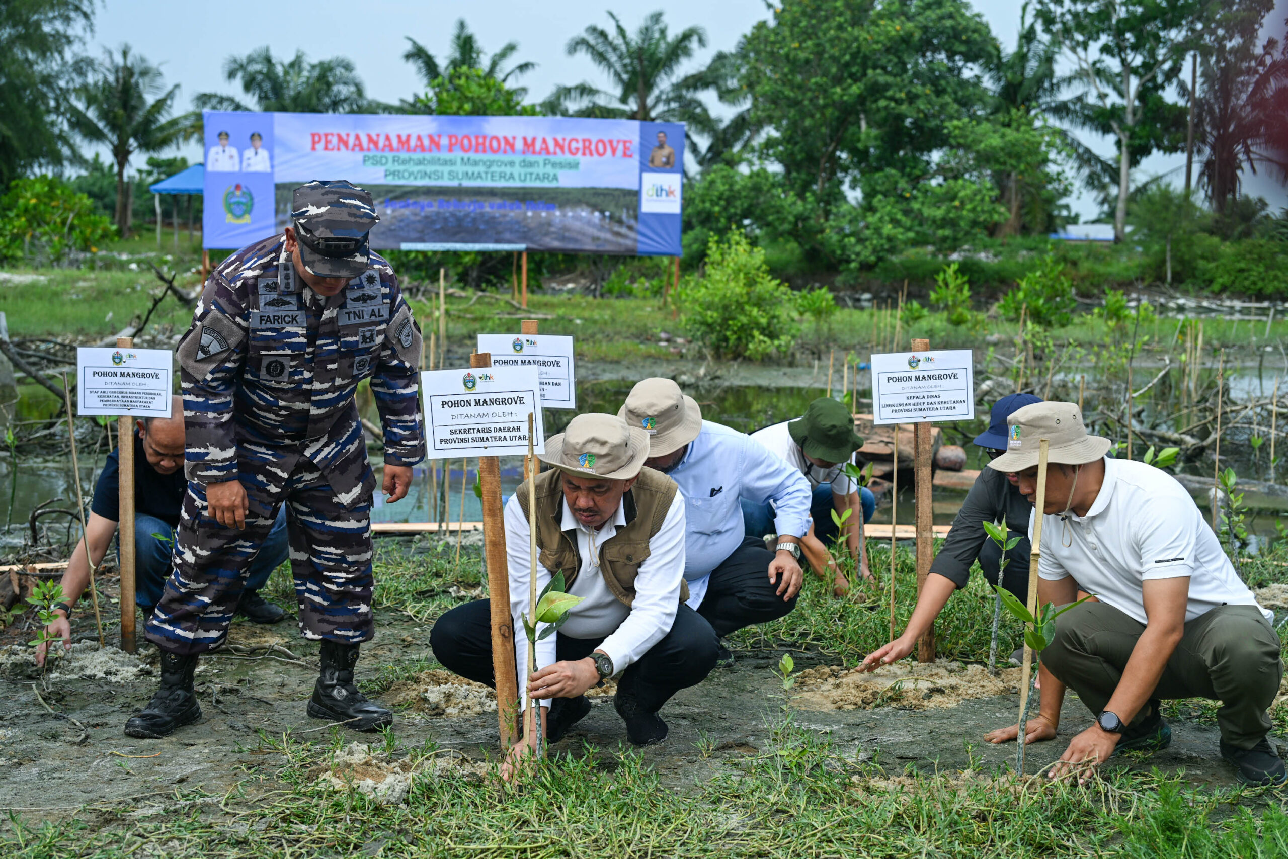 Hadapi Perubahan Iklim di Sumut, Penanaman Pohon dan Mangrove Jadi Solusinya